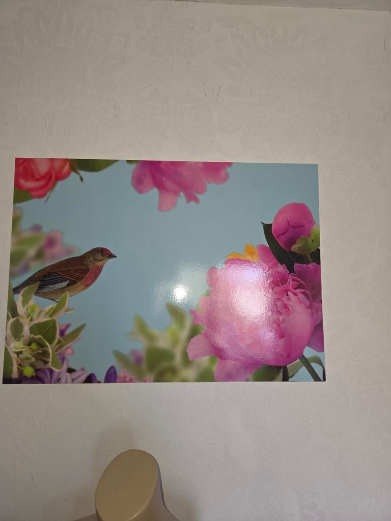 IKEA Schilderij Vogel en Bloemen, Ophalen, Gebruikt, Schilderij, Minder dan 50 cm