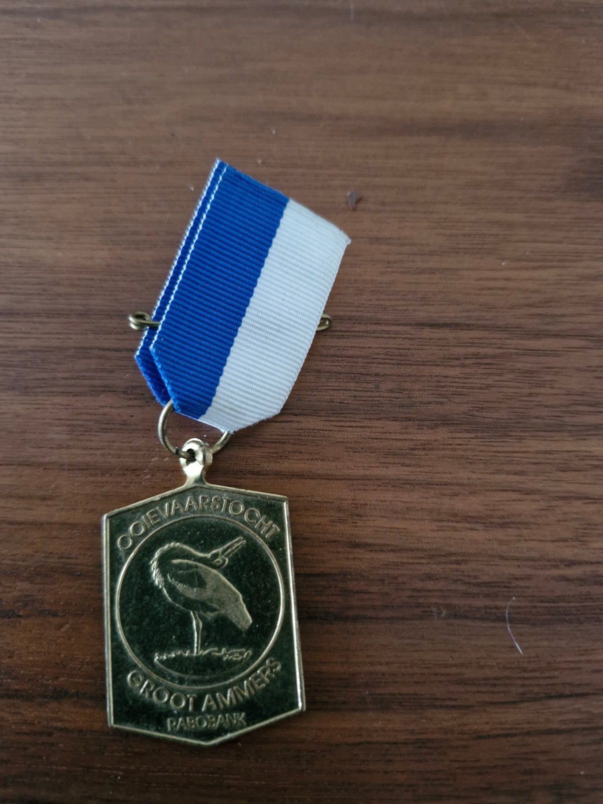050 Ooievaartocht Groot Ammers Rabobank Medaille, Ophalen of Verzenden, Overige materialen