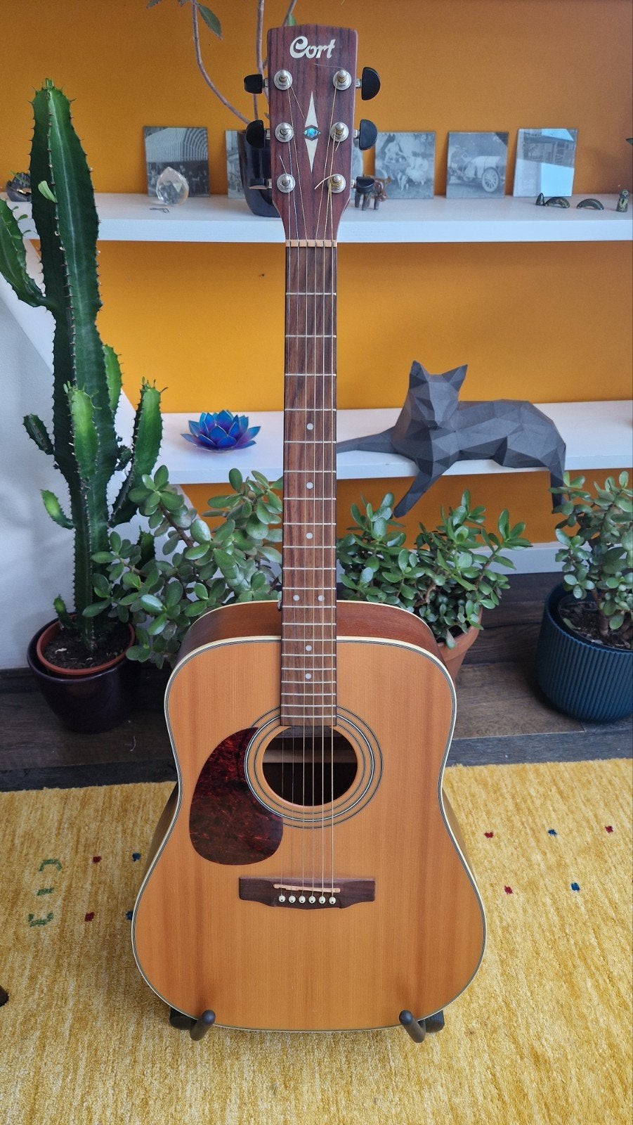 Cort Earth 70LH NS Westerngitaar - Linkshandig, Ophalen, Gebruikt, Western- of Steelstringgitaar