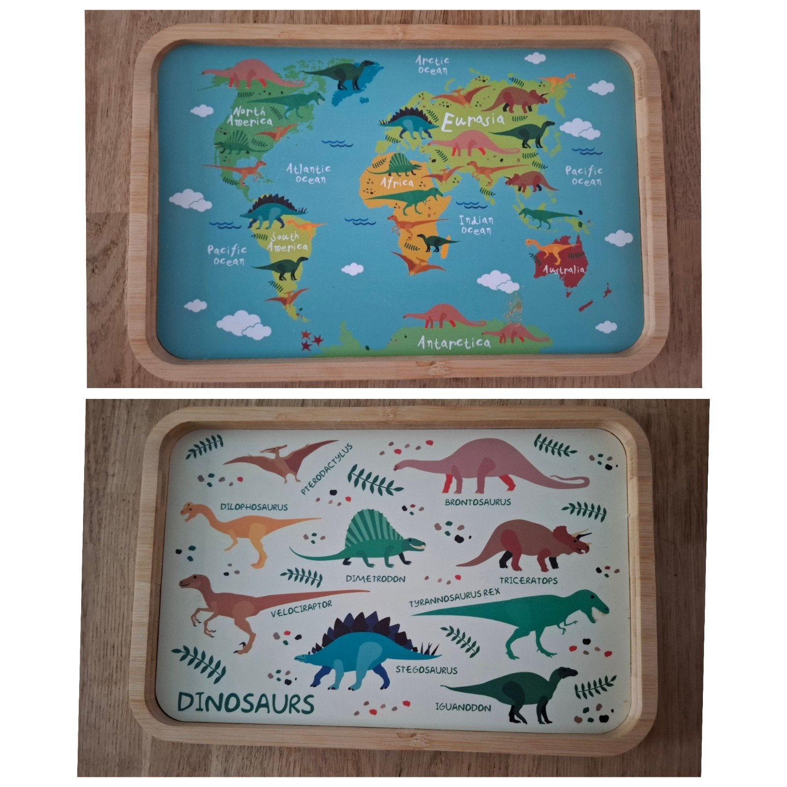 Dienblad 20x30 cm met dinosaurus en wereldkaart print, Huis en Inrichting, Woonaccessoires | Dienbladen, Met opstaande rand, Ophalen of Verzenden