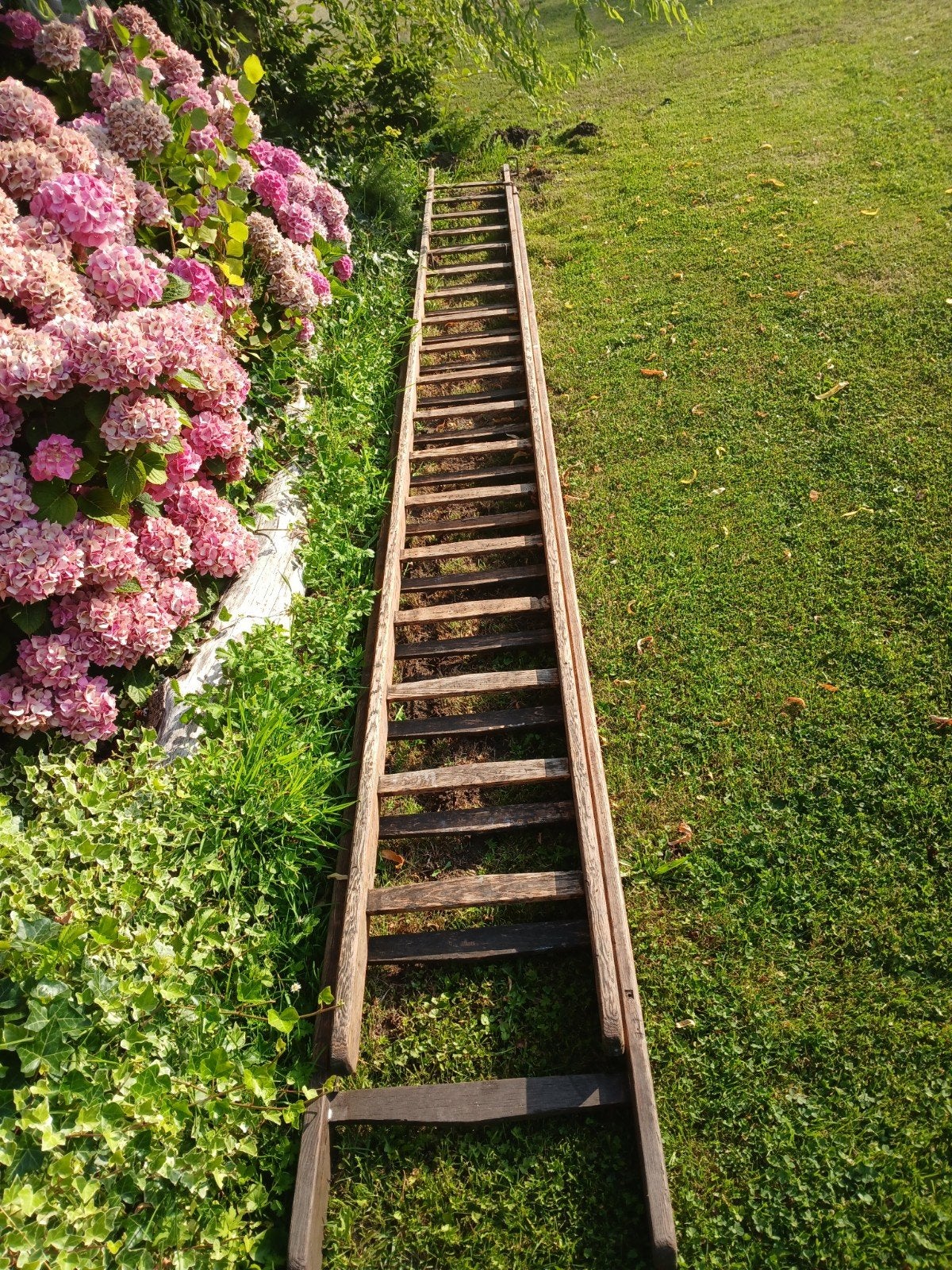 Houten uitschuifbare ladder. 1 deel is al 5 meter, Ophalen of Verzenden, 4 meter of meer