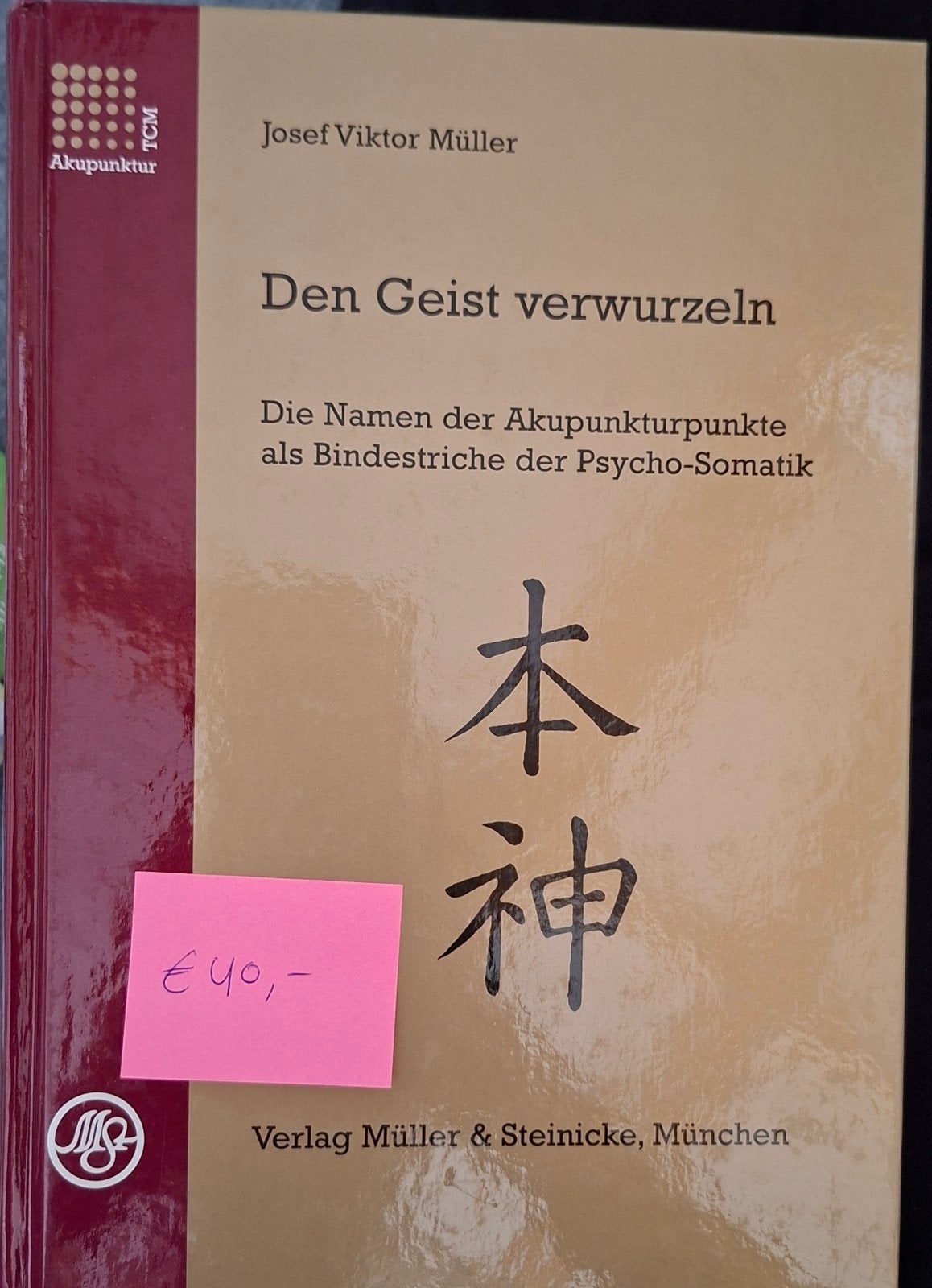 Den Geist verwurzeln - Acupunctuur en Psycho-Somatiek, Ophalen of Verzenden
