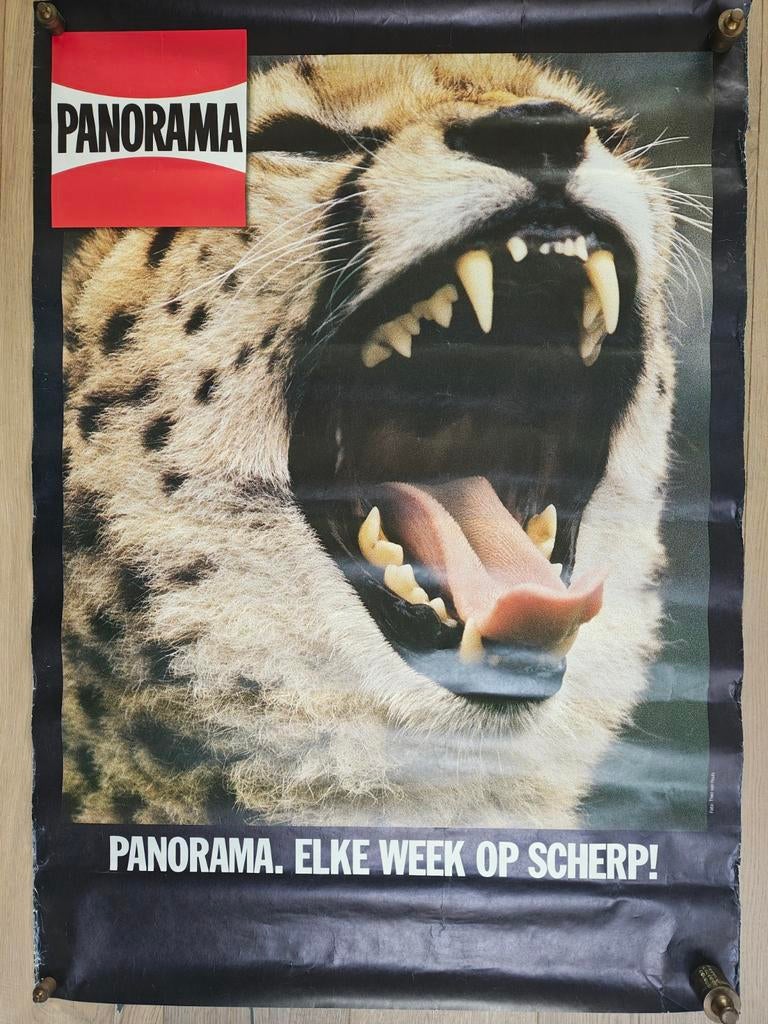 Panorama bushok poster eind jaren 80 Theo van Houts, Ophalen of Verzenden, A1 t/m A3, Dier of Natuur, Rechthoekig Staand