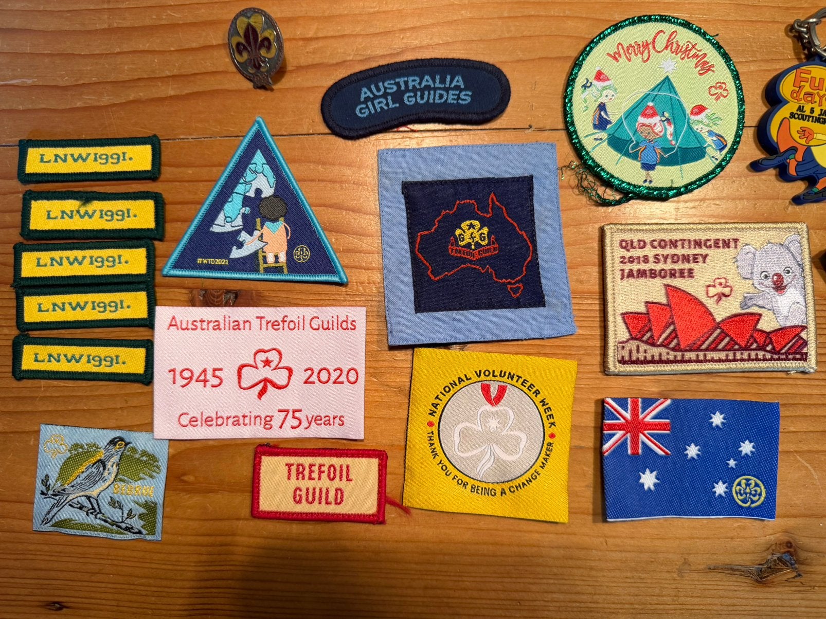 Girl Guide Scouts Scouting badges, Verzamelen, Ophalen of Verzenden, Zo goed als nieuw, Embleem, Speld of Insigne