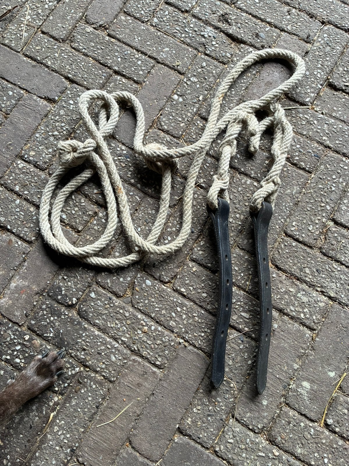 Touwstrengen strengen, Ideal Equestrian, Overige disciplines, Nieuw, Mentuig
