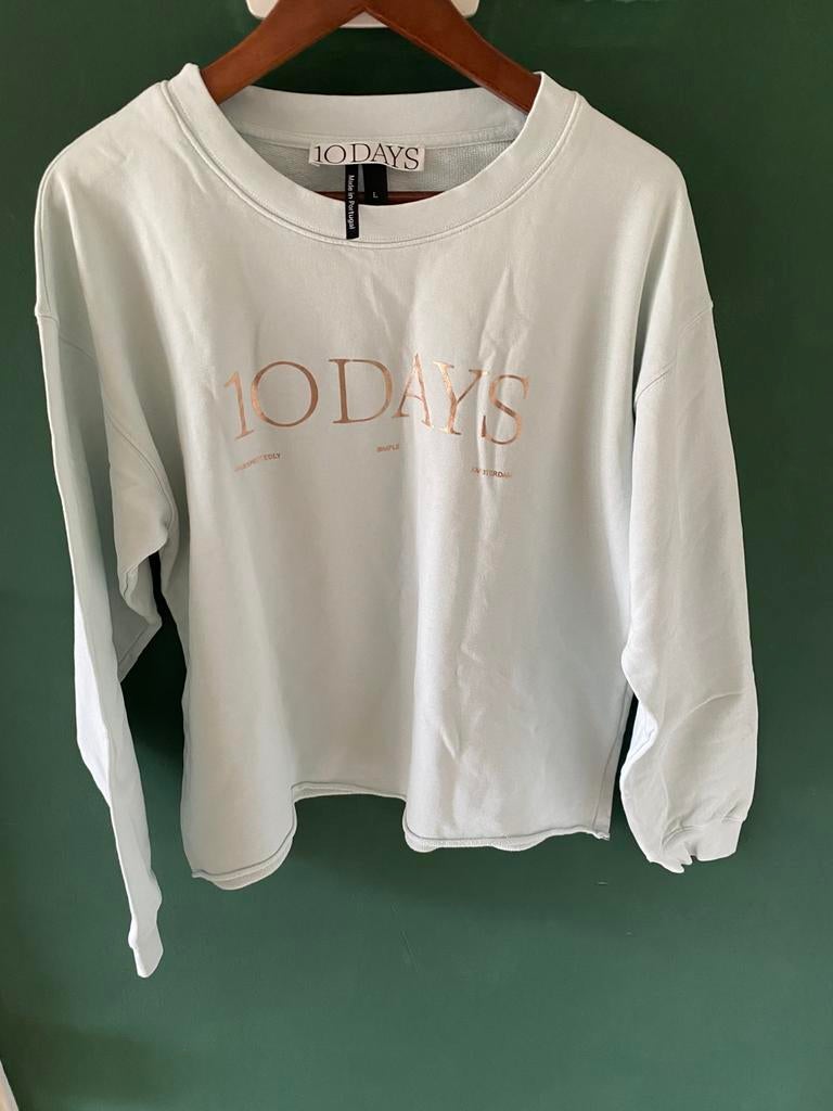 10 days sweater, Ophalen of Verzenden, Zo goed als nieuw, Maat 42/44 (L), Blauw