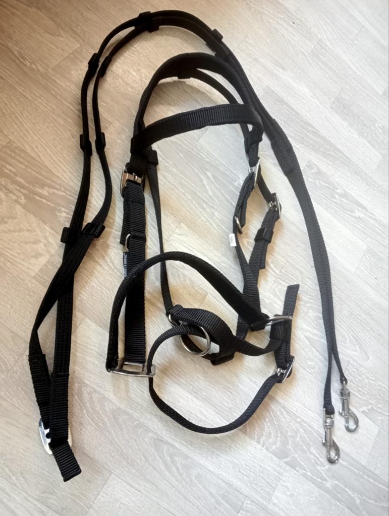 Nieuw zwart nylon bitloos hoofdstel mt full, Ophalen of Verzenden, Nieuw, Overige soorten