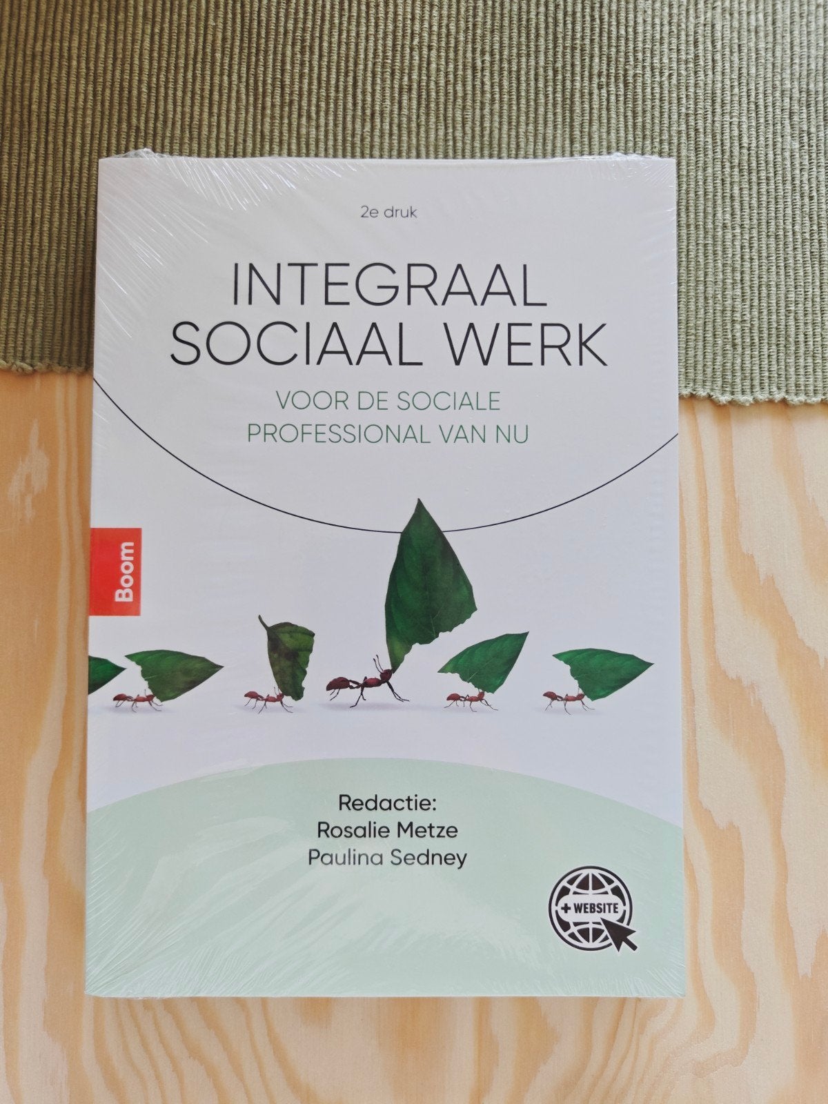 Integraal sociaal werk, Ophalen of Verzenden, Zo goed als nieuw, Overige niveaus, Nederlands