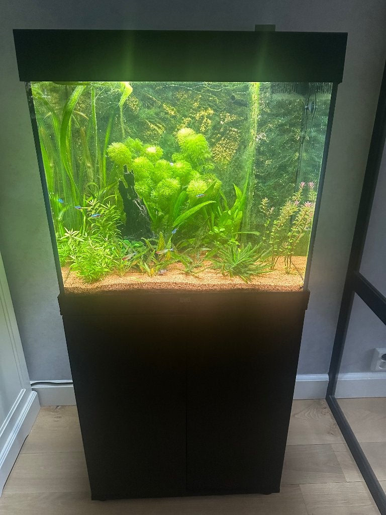 Aquarium, Ophalen, Pomp, Juwel, Gevuld zoetwateraquarium