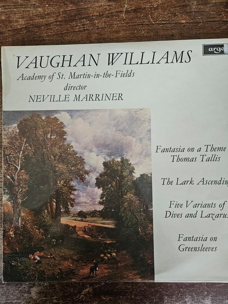 Vaughan Williams - Fantasia op thema Thomas Tallis LP, Ophalen of Verzenden, Modernisme tot heden, Gebruikt, Orkest of Ballet