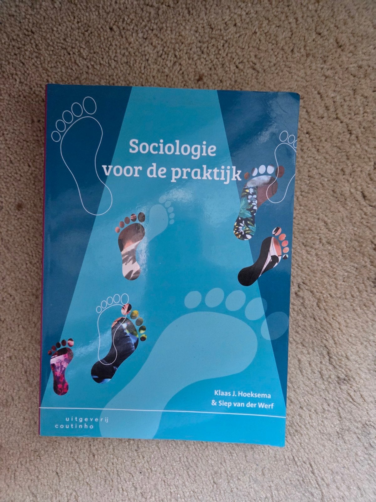 Sociologie voor de praktijk - Klaas J. Hoeksema, Zo goed als nieuw, Klaas J. Hoeksema & Siep van der Werf, Gamma, HBO