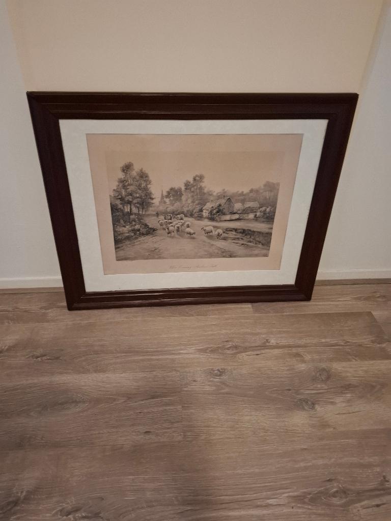 Schilderij, Ophalen, 50 tot 75 cm, Zo goed als nieuw, Schilderij
