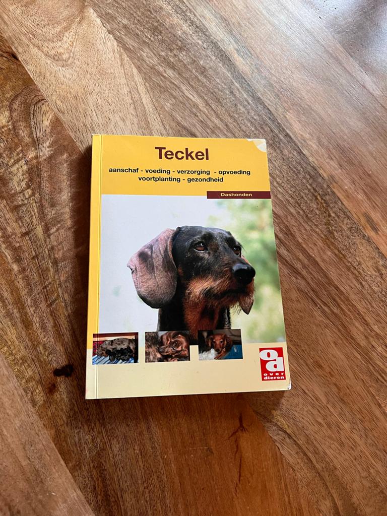 Teckel boekje, Boeken, Dieren en Huisdieren, Ophalen of Verzenden, Gelezen, Honden