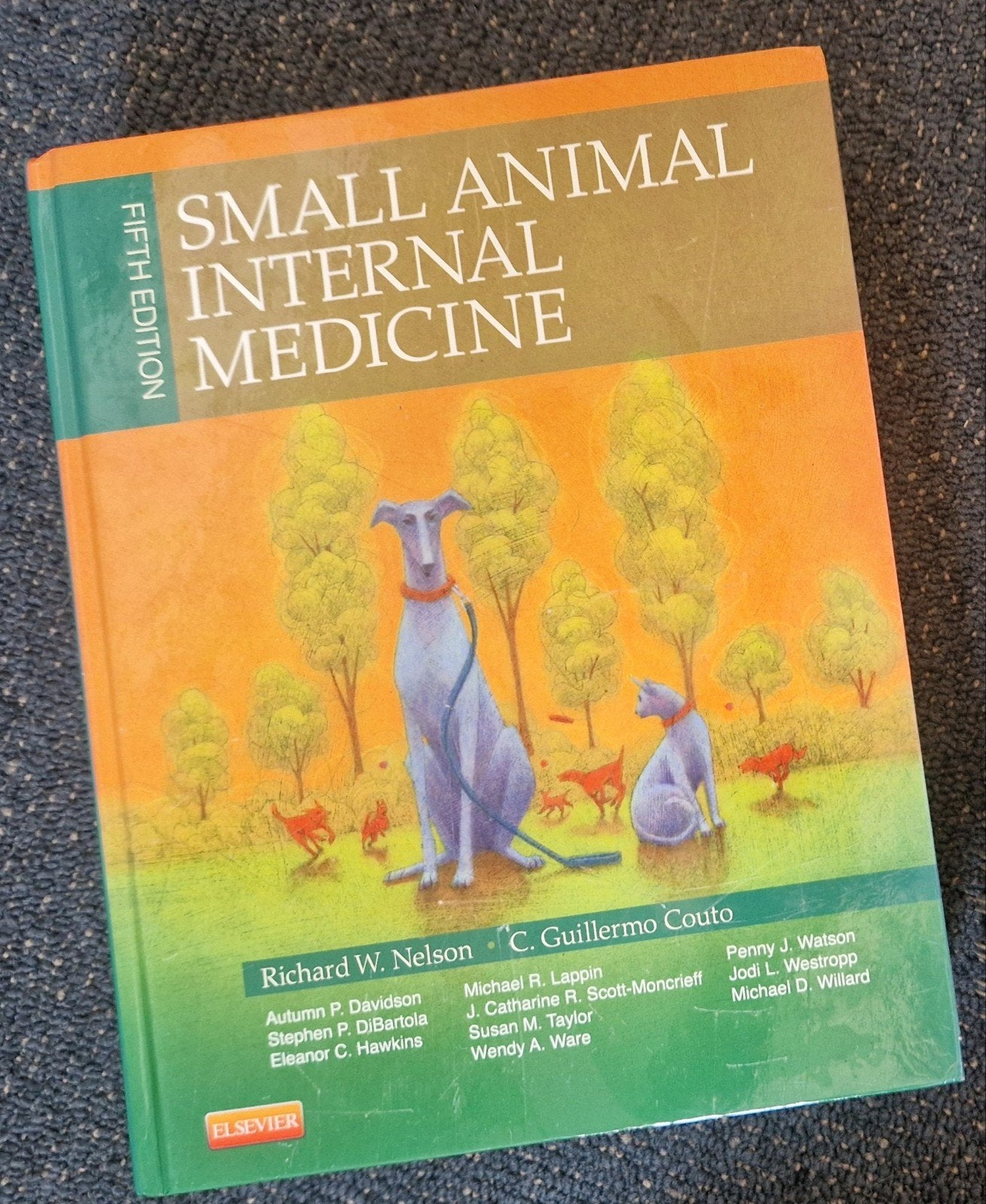Small Animal Internal Medicine - 5th Edition, Boeken, Ophalen of Verzenden, WO, Beta, Richard W. Nelson, C. Guillermo Couto