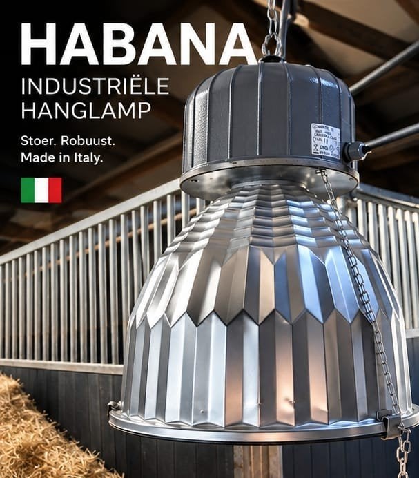 HABANA (N) Industriële Hanglamp - E40, 250W, IP65, Ophalen, Nieuw, Metaal, Industrieel