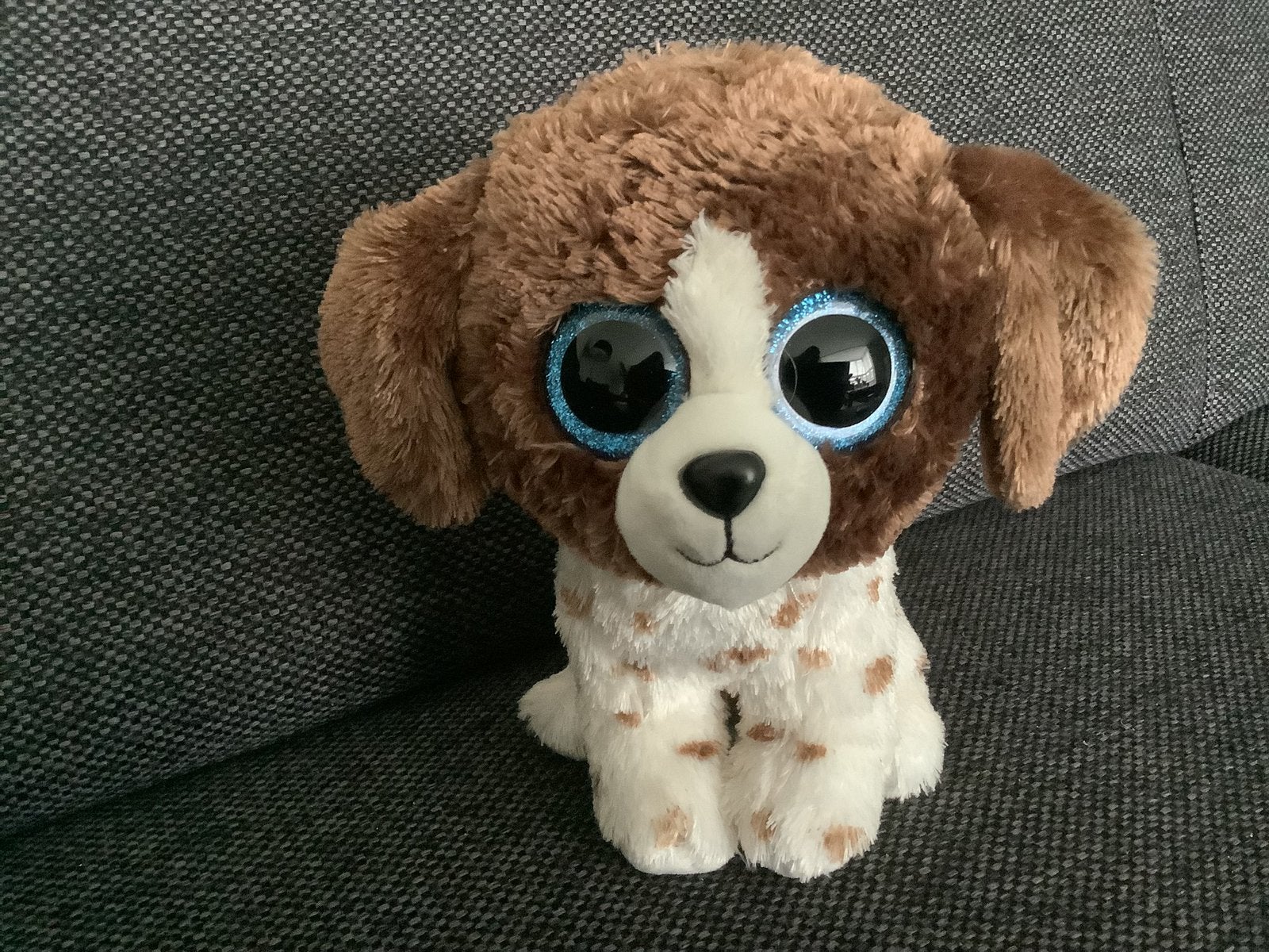 Ty beanie boo pluche knuffel hond muddles grote glitter ogen, Ophalen of Verzenden, Zo goed als nieuw, Hond
