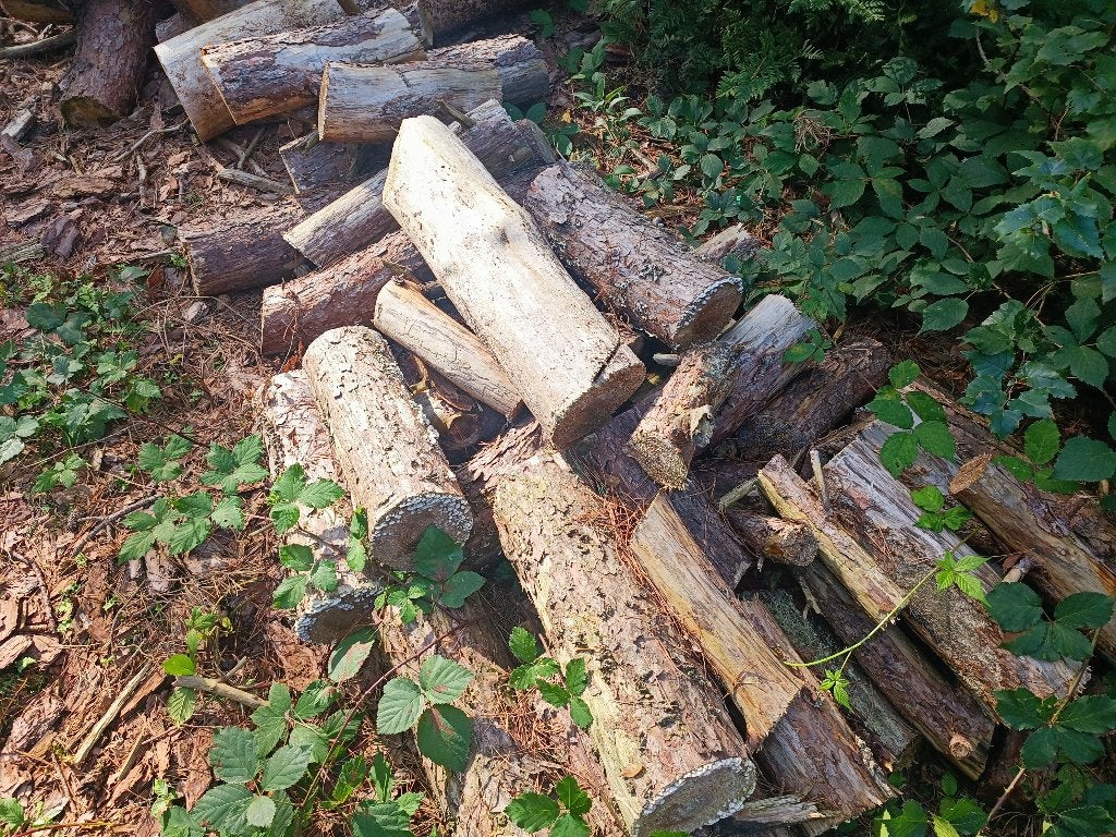 Kachelhout, 6 m³ of meer, Ophalen, Overige houtsoorten, Stammen