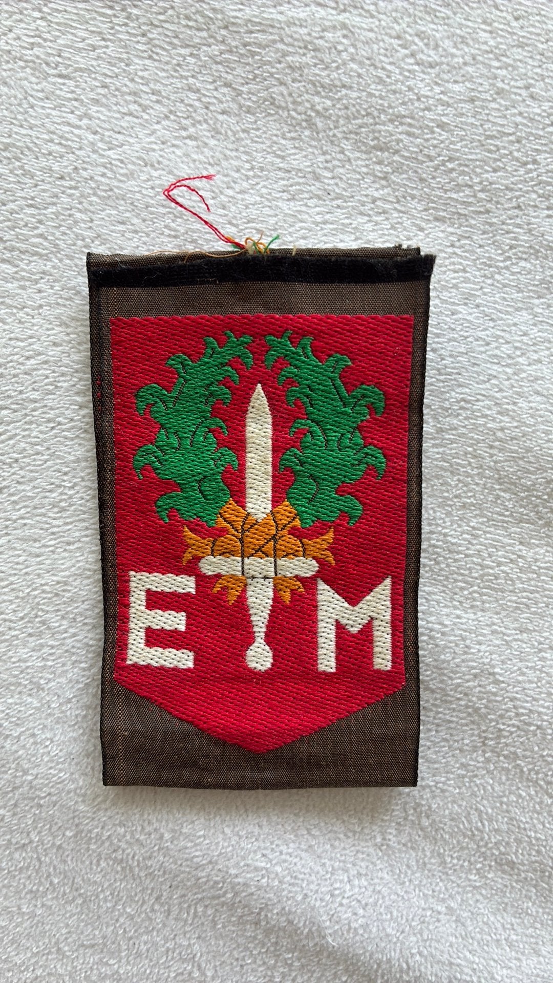 Mouwembleem DT Eerste Divisie, Verzenden, Landmacht, Nederland, Embleem of Badge