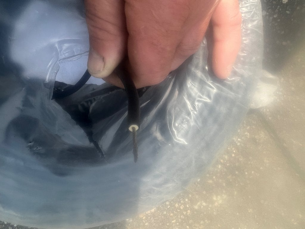 Kabel neopreen een aderig Pirelli, Ophalen of Verzenden, Kabel of Snoer