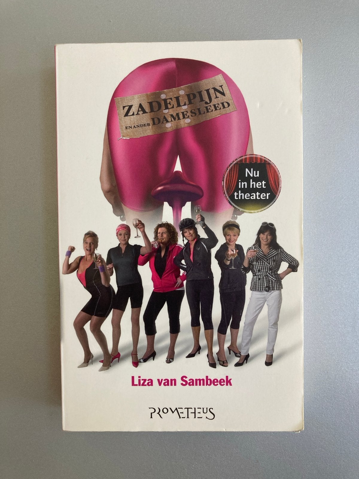 Zadelpijn en ander damesleed - Liza van Sambeek, Ophalen of Verzenden, Gelezen, Nederland