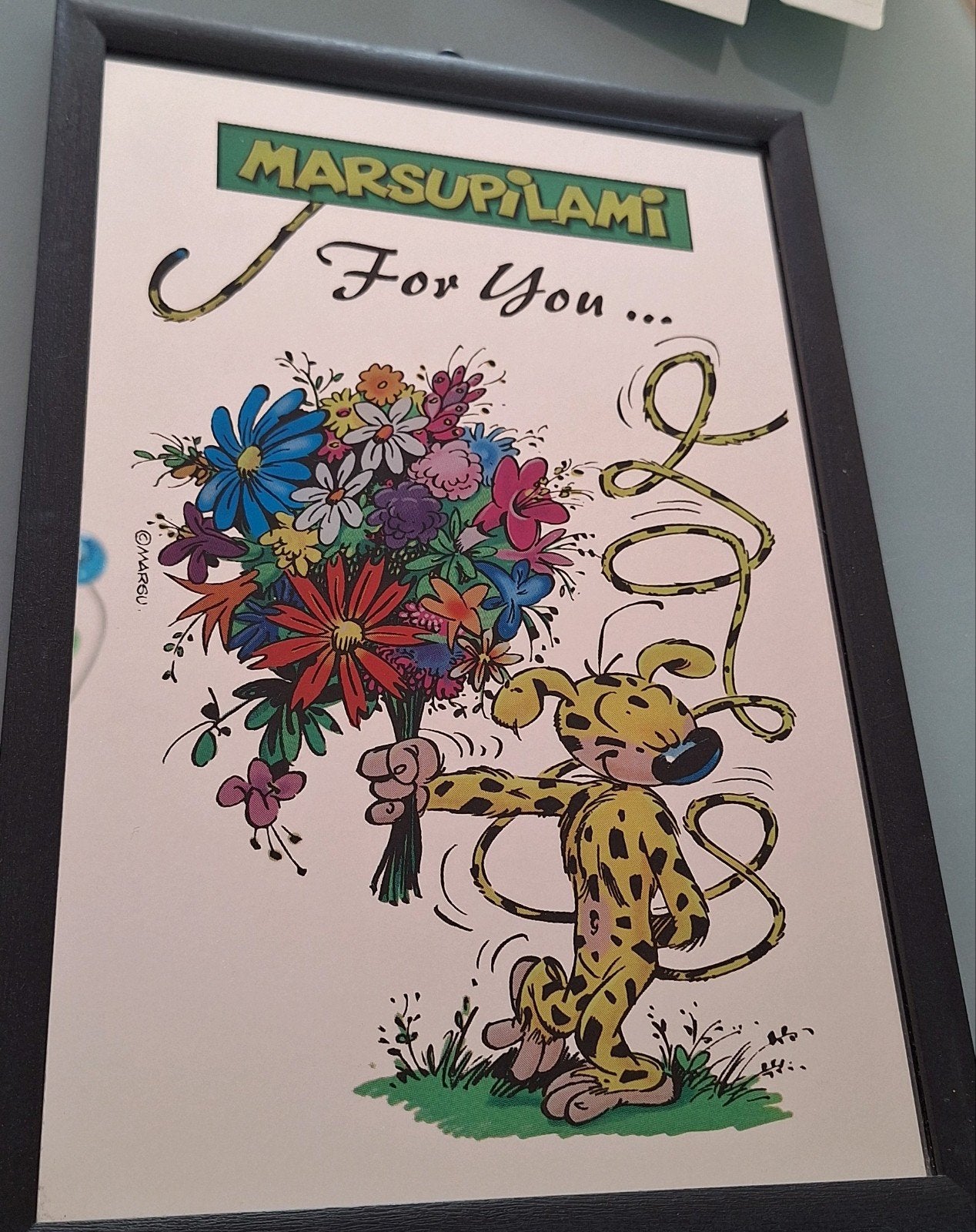 Marsupilami spiegel met opdruk, doos is wat beschadigd., Verzamelen, Ophalen of Verzenden, Gebruiksvoorwerp