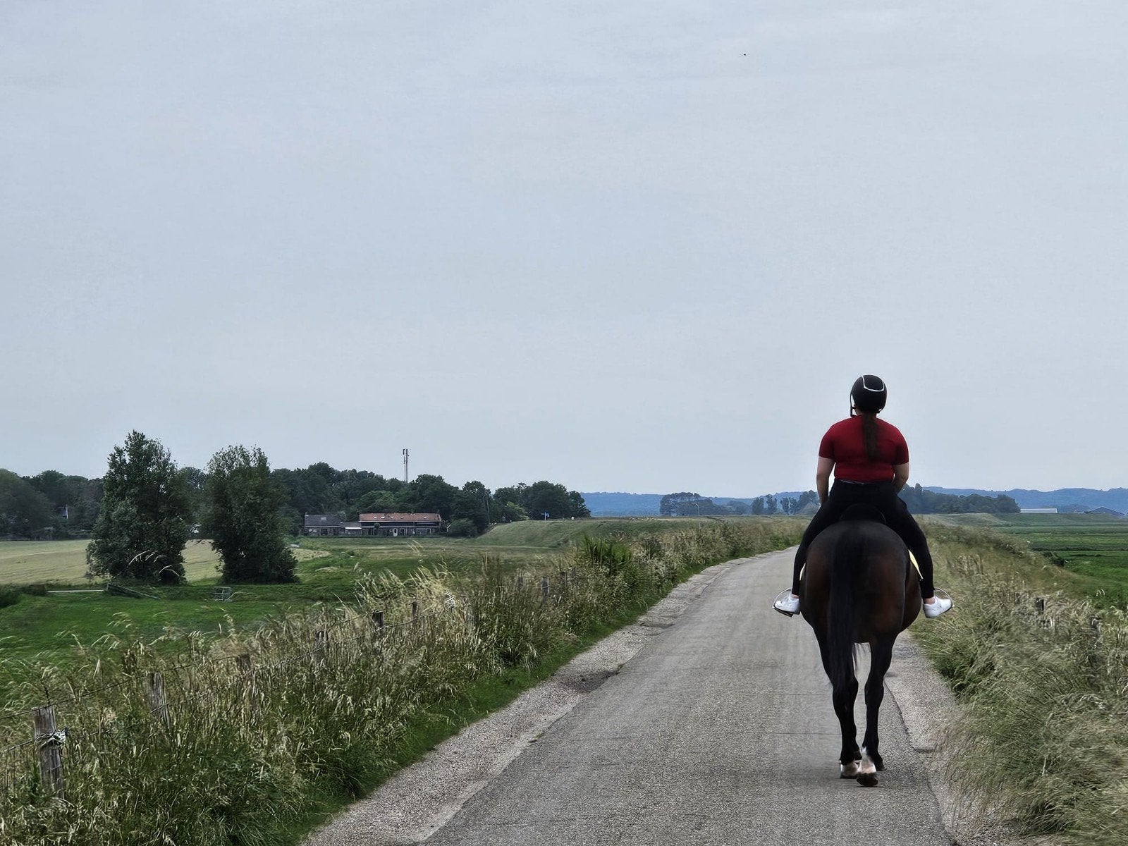 bijrijdpaard/verzorgpaa/lease paard gezocht, Ophalen of Verzenden