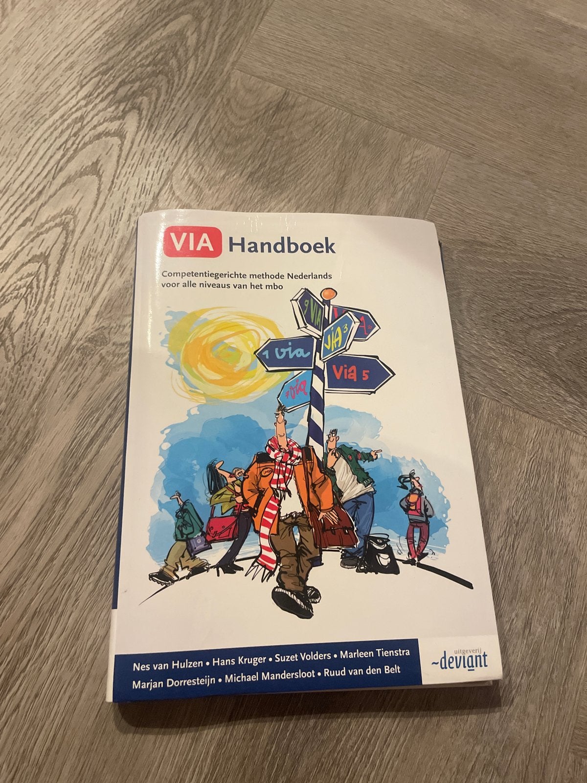 VIA Handboek - Competentiegerichte methode Nederlands, Ophalen of Verzenden, Alpha, Zo goed als nieuw, MBO