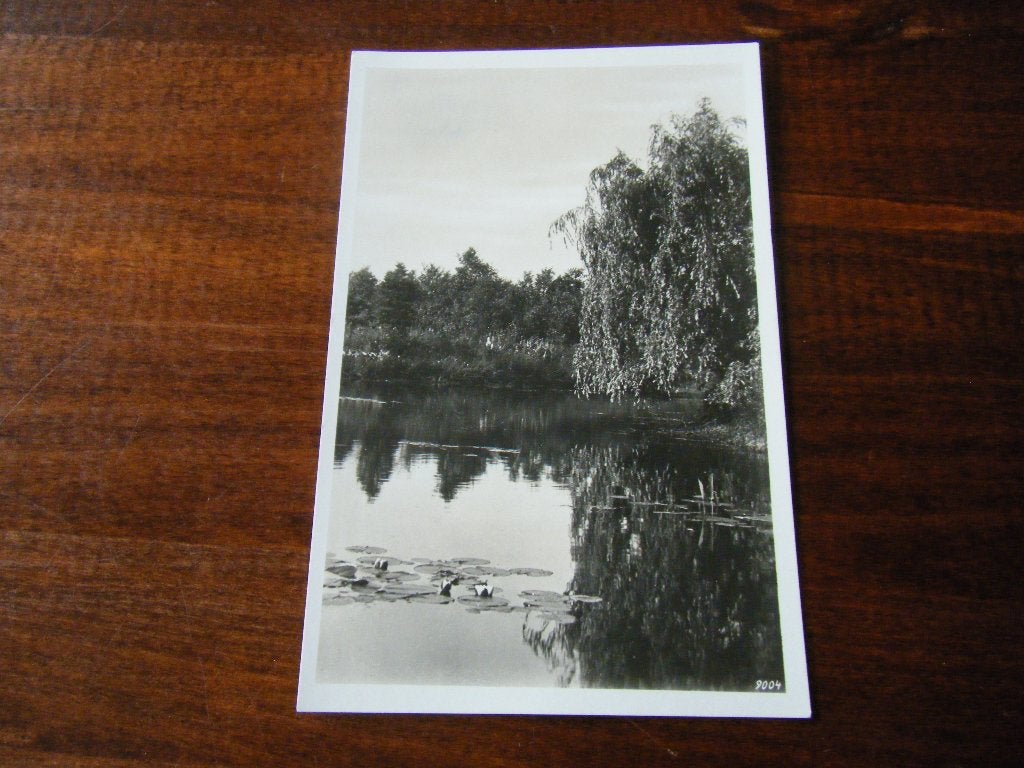 A90 - Esbeek - Vijver - Mooi/Oud, Verzamelen, Ophalen of Verzenden, 1960 tot 1980, Noord-Brabant