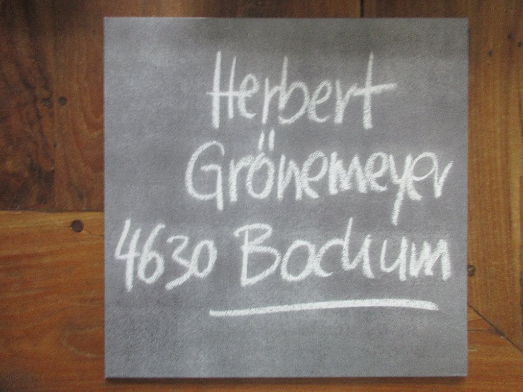 Herbert Grönemeyer 4630 Bochum - LP, Ophalen of Verzenden, Zo goed als nieuw, 12 inch