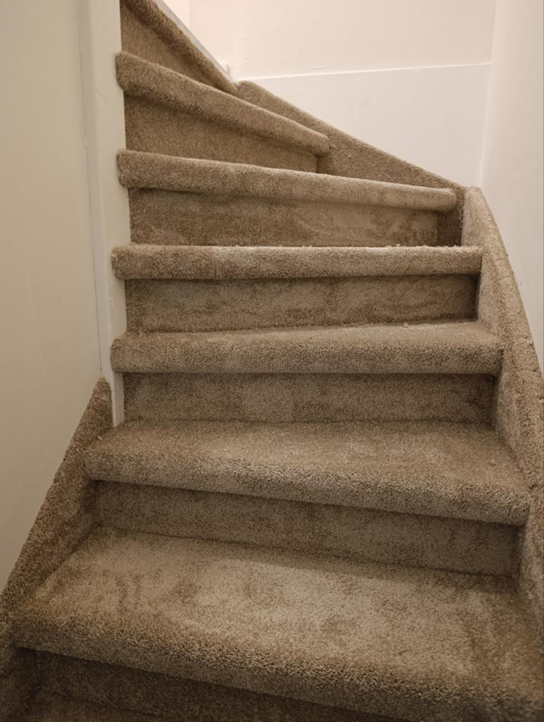 Trap stofferder,tapijt, Ophalen of Verzenden, Nieuw, 75 m² of meer, Tapijt