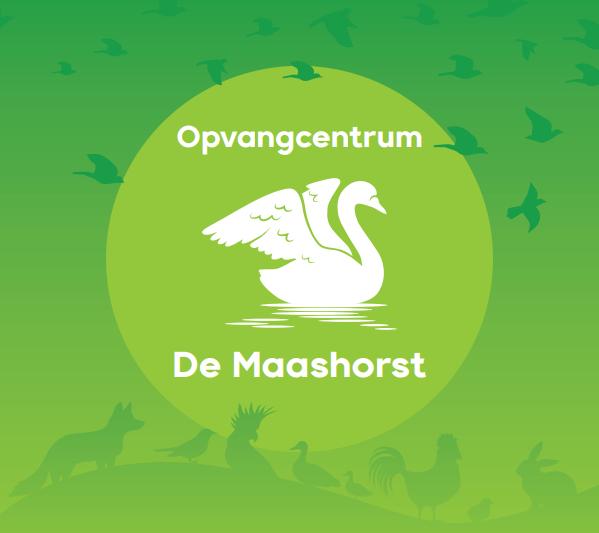 Vrijwilligers dierverzorging gezocht!, Vacatures, Goede doelen en Vrijwilligerswerk, Variabele uren, Overige niveaus, Starter