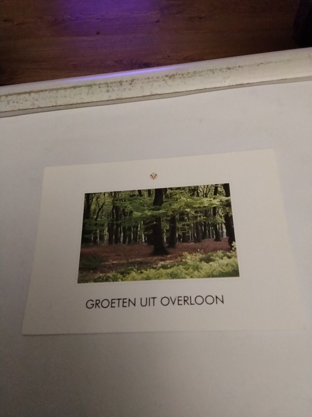 Ansichtkaart Groeten uit Overloon - Boslandschap, Verzamelen, Ophalen of Verzenden