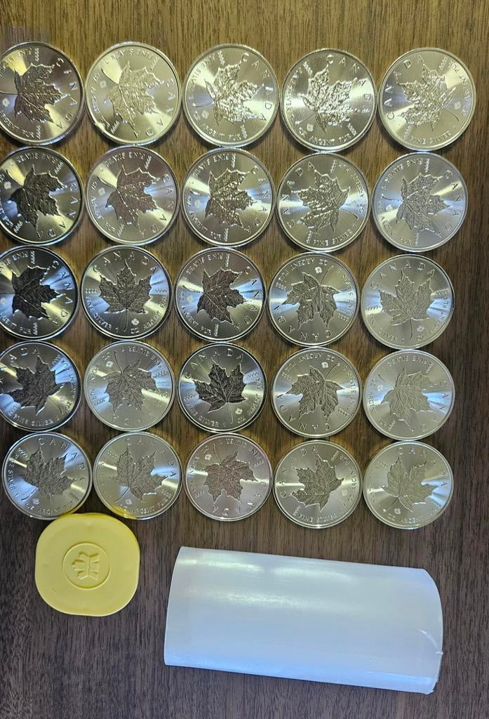 Volle tube 25 stuks 1 ounce maple leaf 2021, Ophalen of Verzenden, Zilver