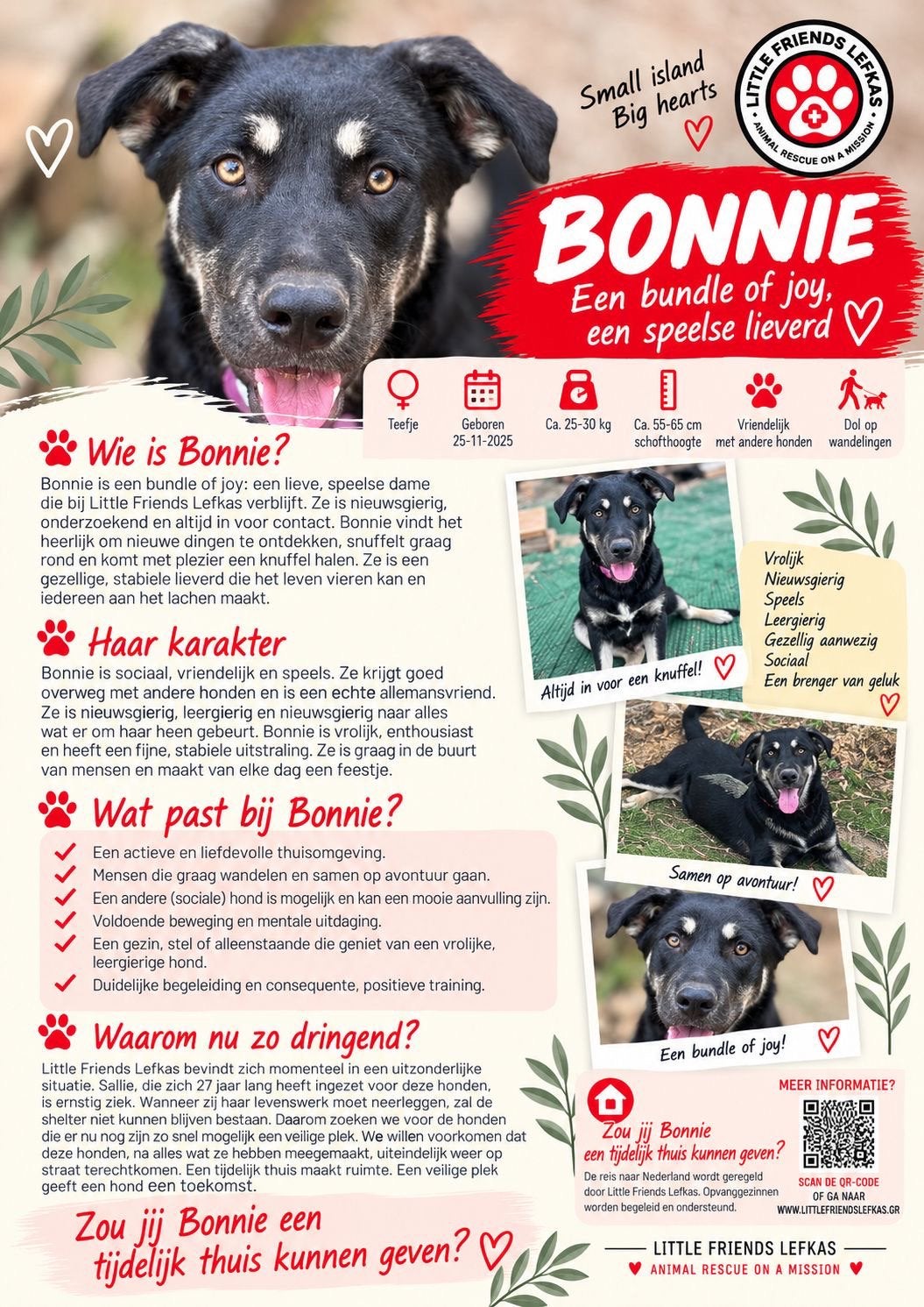 FOSTERGEZIN GEZOCHT VOOR BONNIE, Starter, Overige vormen, Overige uren, LBO / VMBO