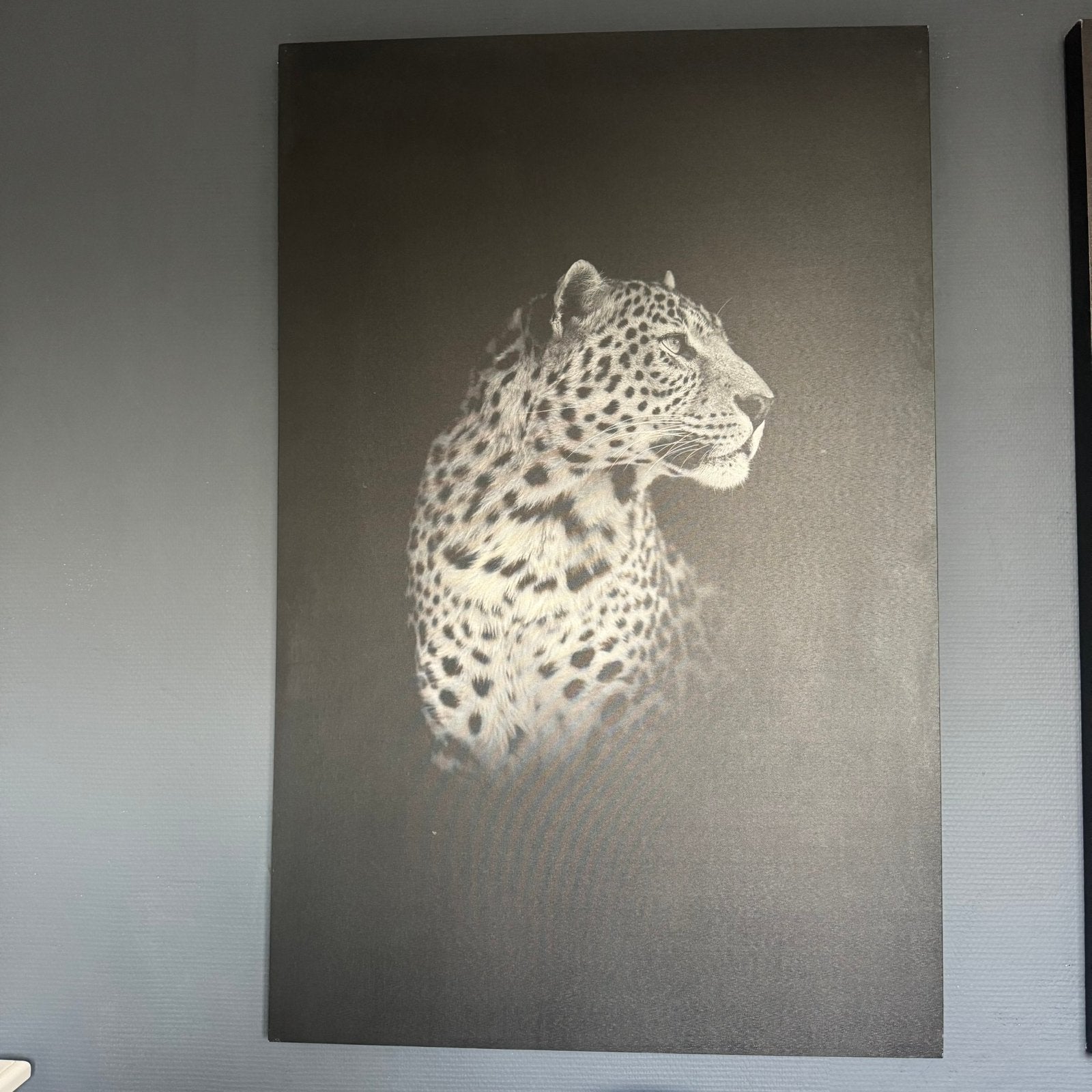 Canvas schilderij luipaard, Ophalen of Verzenden, Zo goed als nieuw
