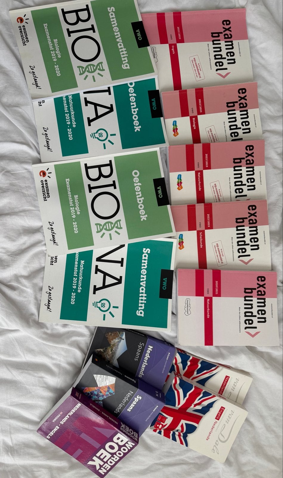 VWO Examenbundels en Samenvattingen (Biologie, Natuurkunde), Boeken, Ophalen of Verzenden, Beta, Gelezen