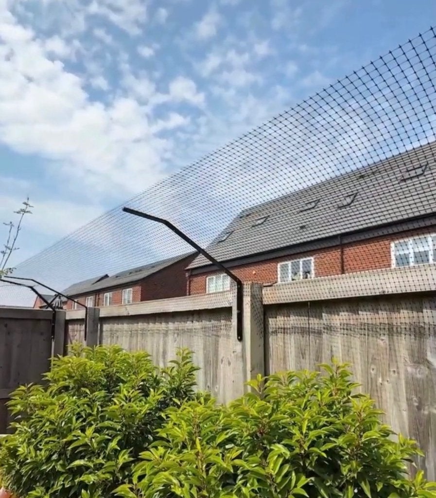 Spuut Cat Fence, Ophalen, Gebruikt