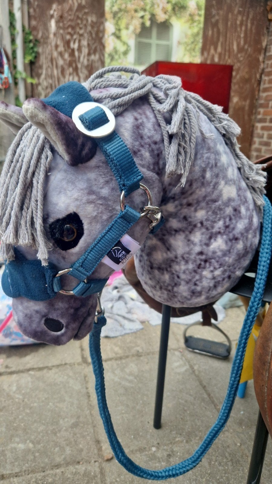 hobbyhorse paardrij les, Dieren en Toebehoren, Ophalen of Verzenden