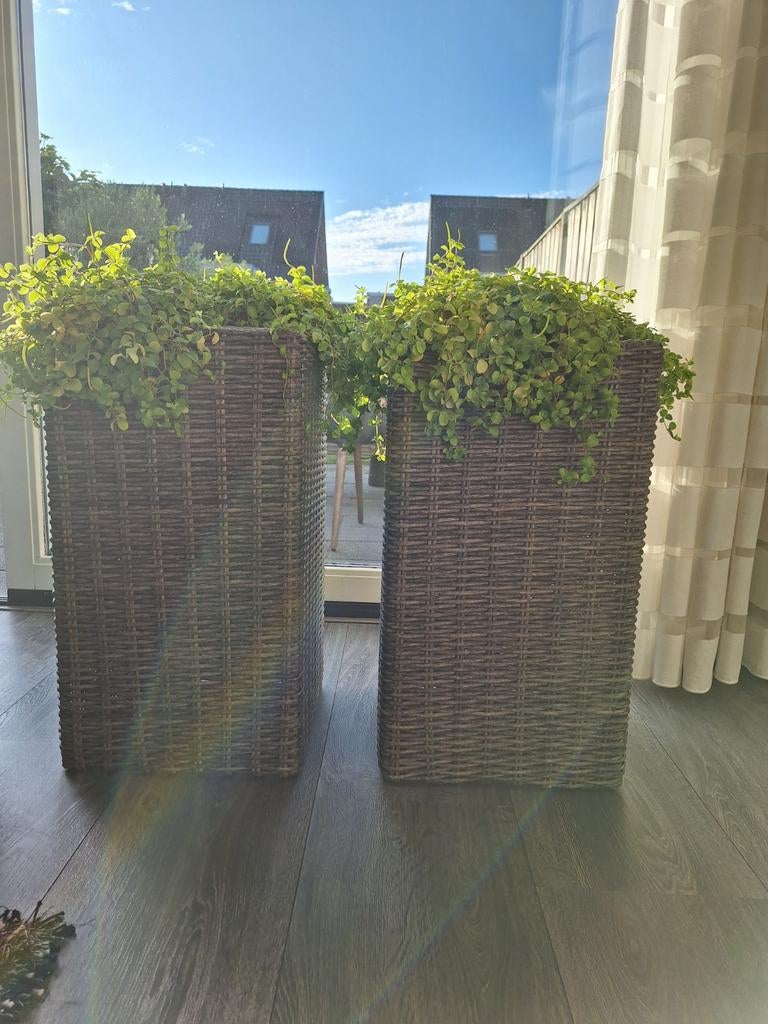 2 hoge plantenbakken, Ophalen, Rond, Kunststof, Binnen