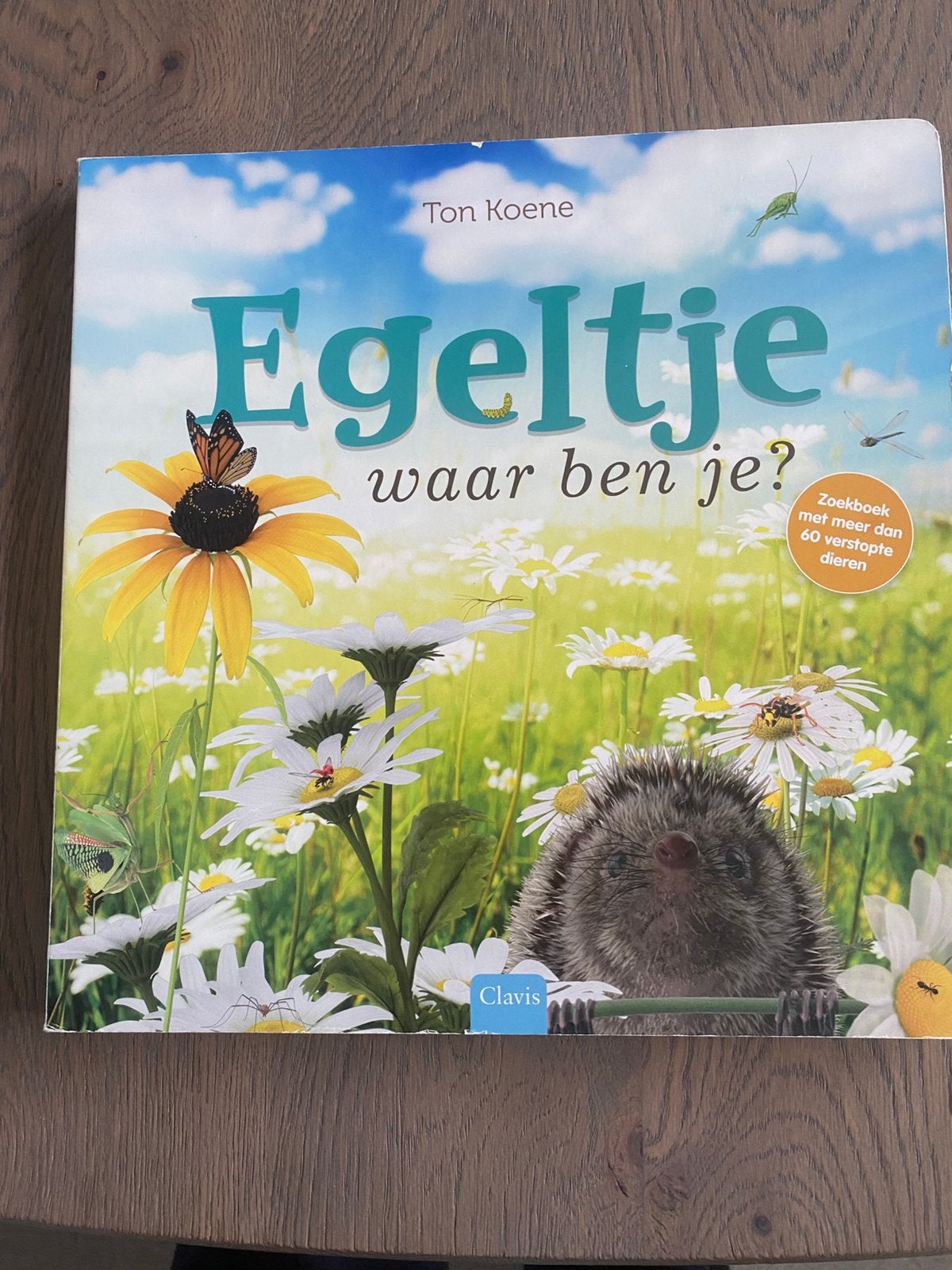 Plaatjes Zoekboek. Kinderen vanaf drie jaar, Boeken, Ophalen of Verzenden, Gelezen, Ton Koene