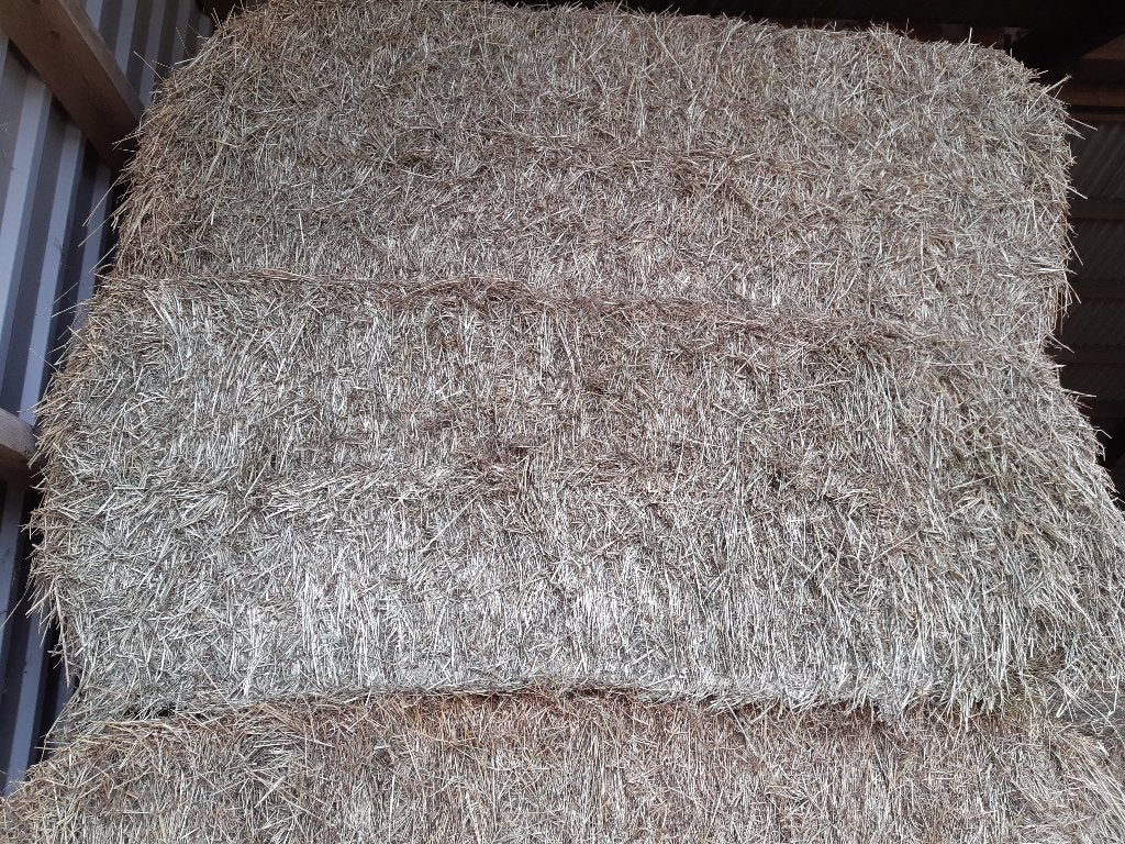 Grote pakken hooi, Dieren en Toebehoren, Dierenvoeding, Ophalen of Verzenden, Vee