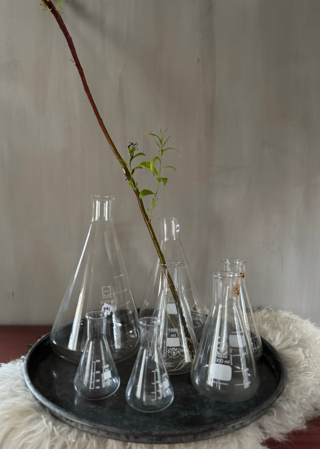 Erlenmeyer laboratorium glas, Ophalen