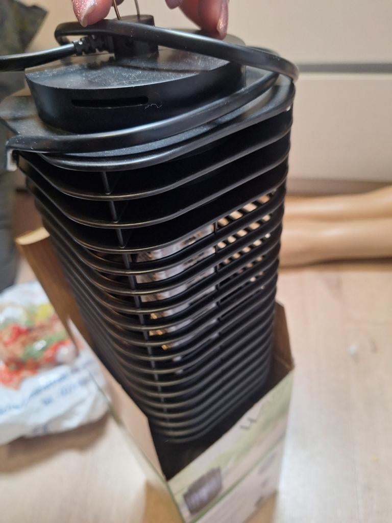 Vliegenlamp, Overige soorten