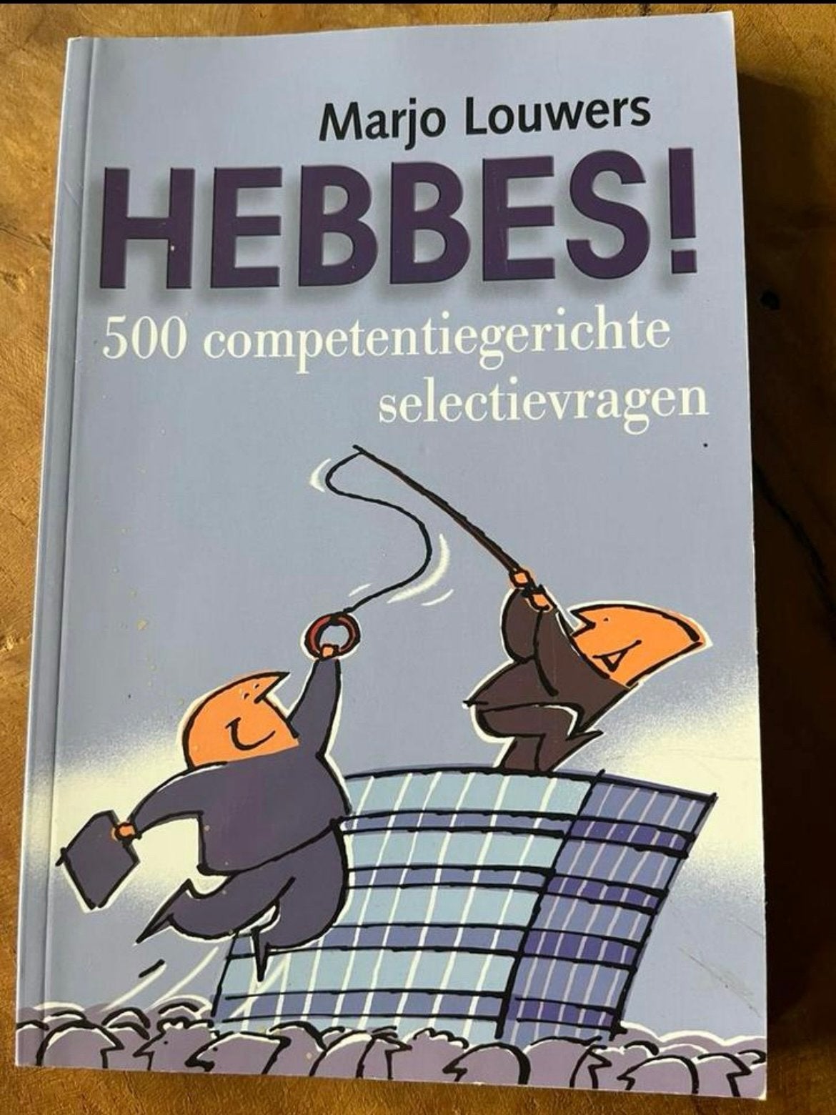 HEBBES! 500 competentiegerichte selectievragen - Marjo Louwe, Ophalen of Verzenden, Gamma, Zo goed als nieuw, HBO