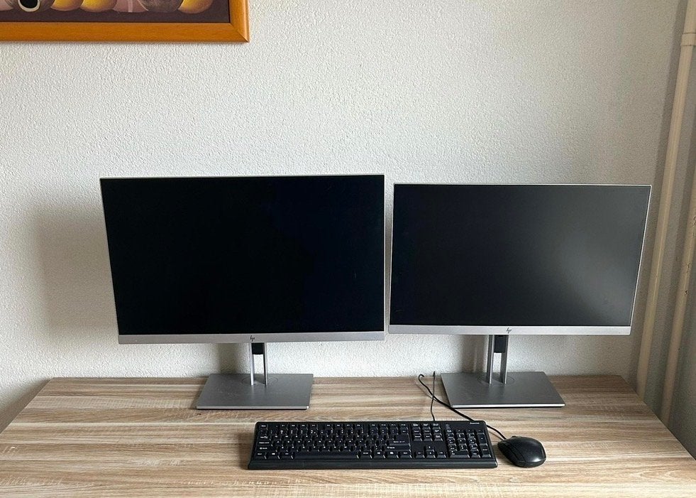 Computerschermen HP 2x, Computers en Software, Monitoren, Ophalen, Full HD, 60 Hz of minder, IPS