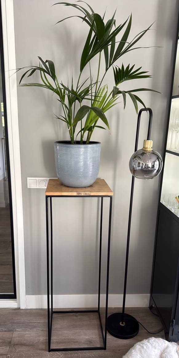 Hoge zuil voor plant of decoratie, Ophalen, Zo goed als nieuw