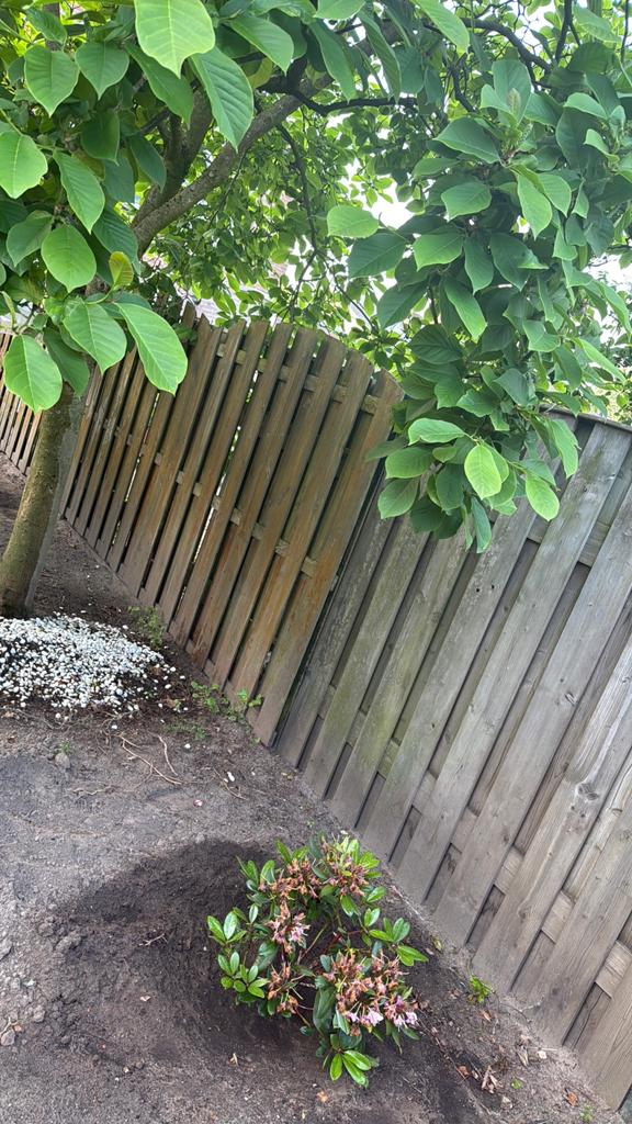 Schutting panelen, Tuin en Terras, Schuttingen, Ophalen, 6 meter of meer, Hout, 1 tot 2 meter