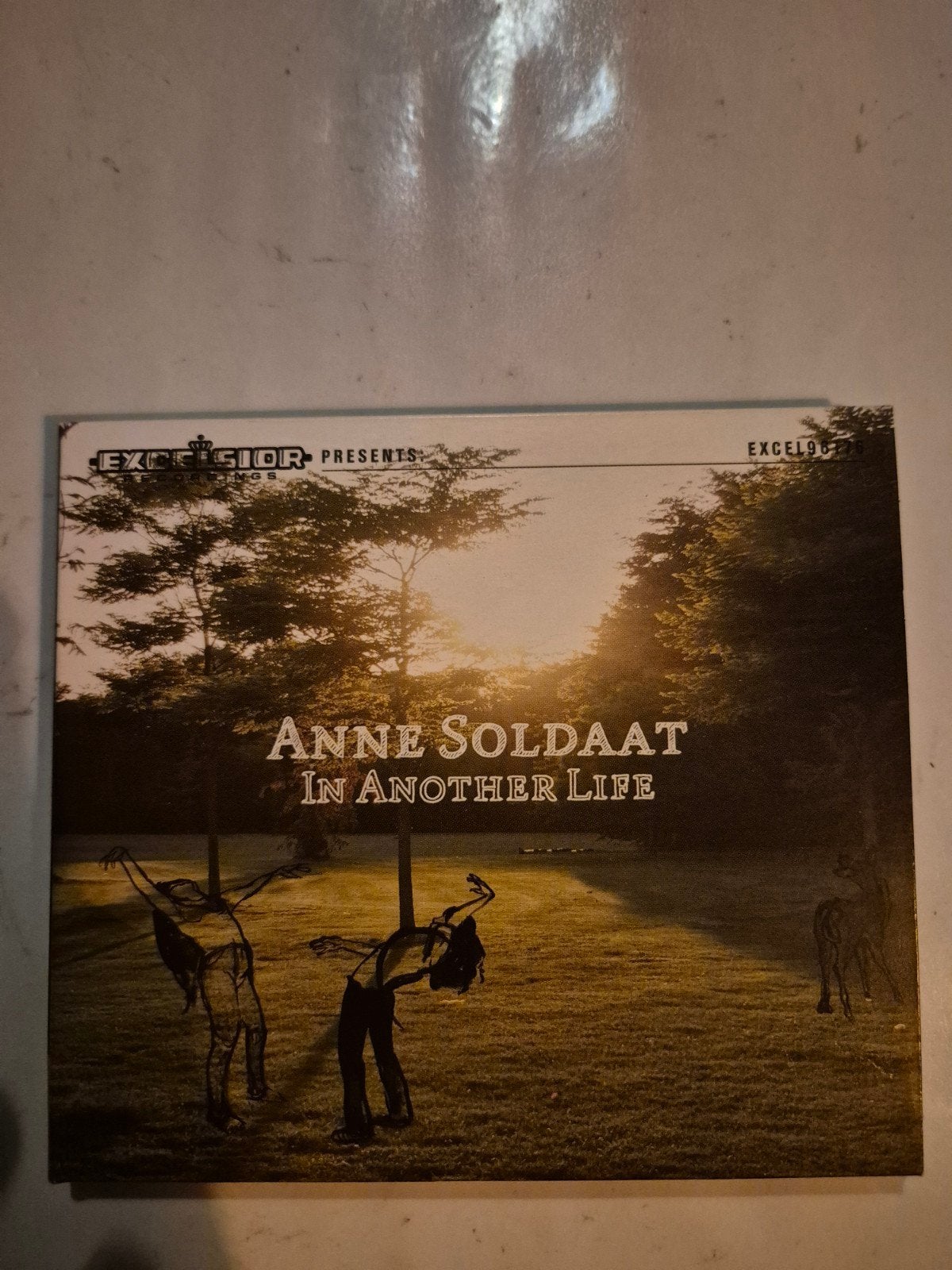 Anne Soldaat - In another life. Cd. 2009, Ophalen of Verzenden