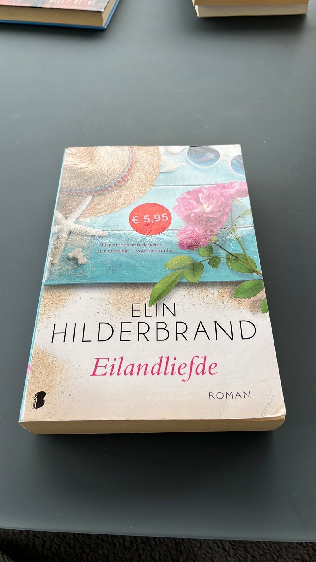 Elin Hilderbrand - Eilandliefde, Ophalen of Verzenden, Zo goed als nieuw