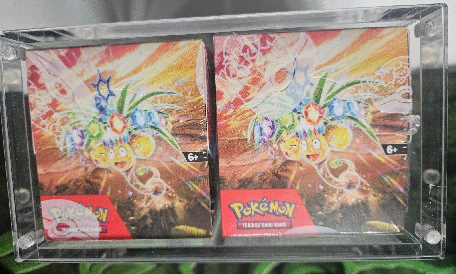 twee halve booster boxen Surging Sparks, Ophalen of Verzenden, Nieuw, Boosterbox, Foil